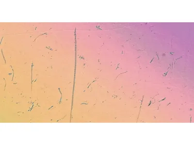 Pengamatan dan Analisis Terbaru pada Baterai Ion Lithium dan Baterai Generasi Lanjut