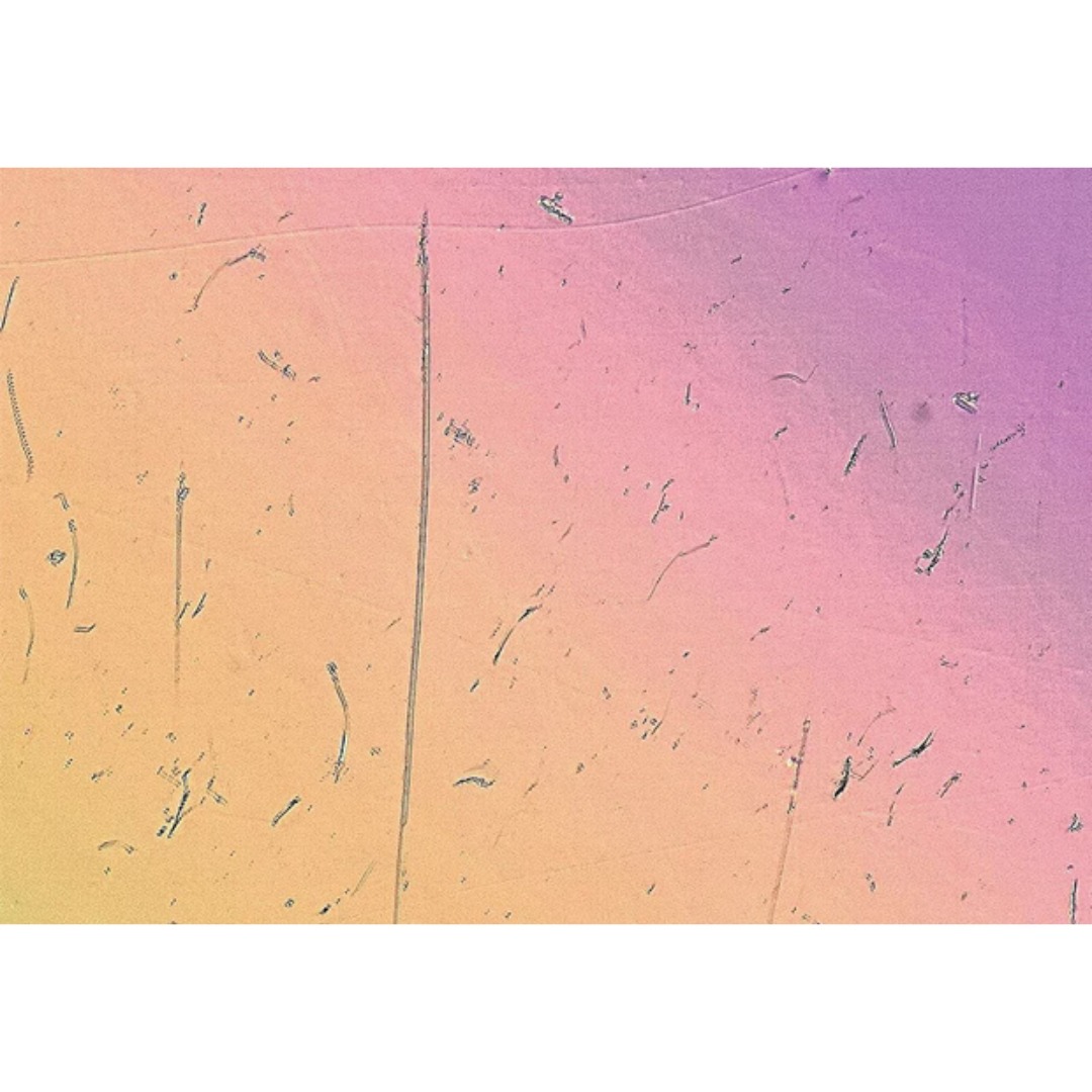 Pengamatan dan Analisis Terbaru pada Baterai Ion Lithium dan Baterai Generasi Lanjut