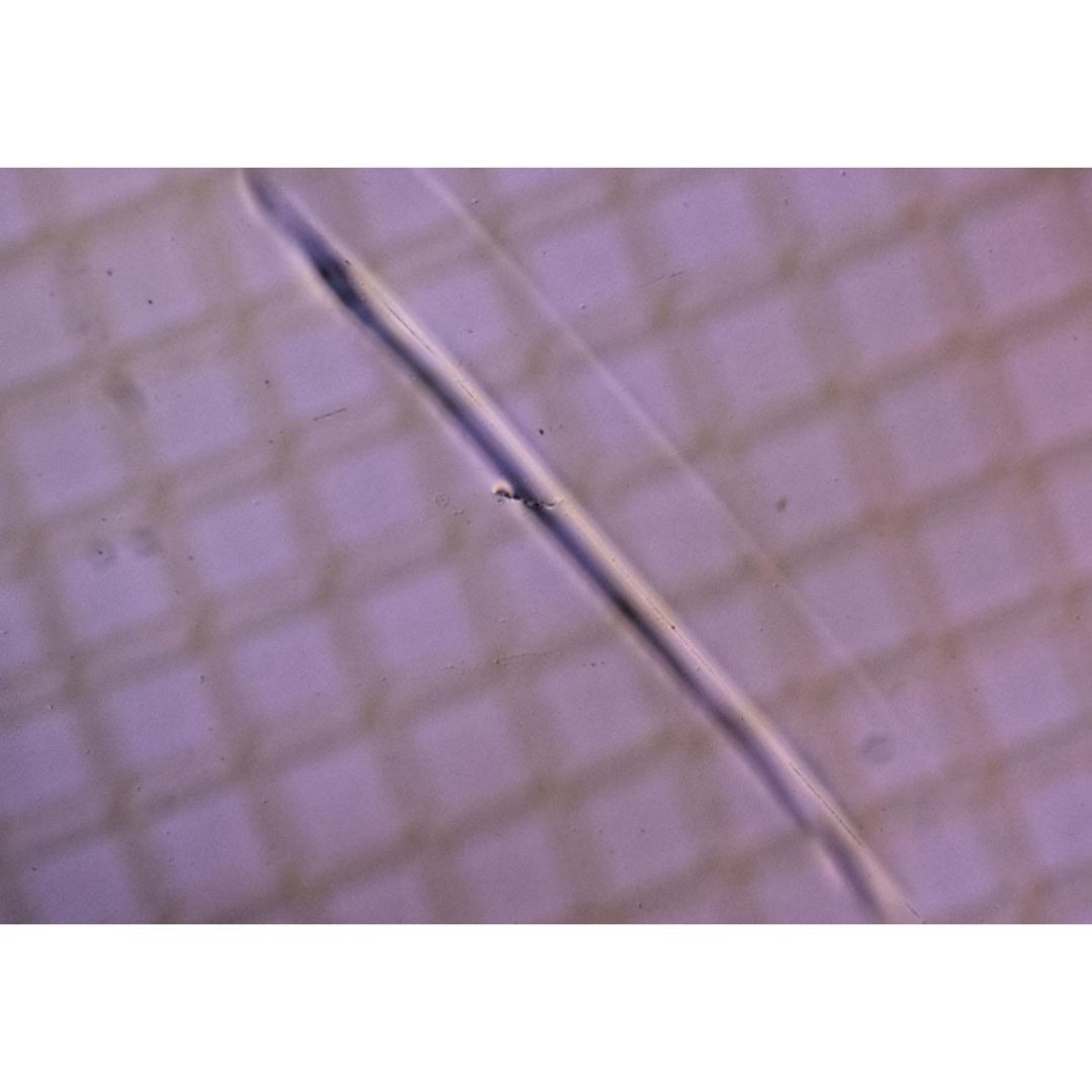 Pengamatan dan Evaluasi Goresan di Permukaan Film